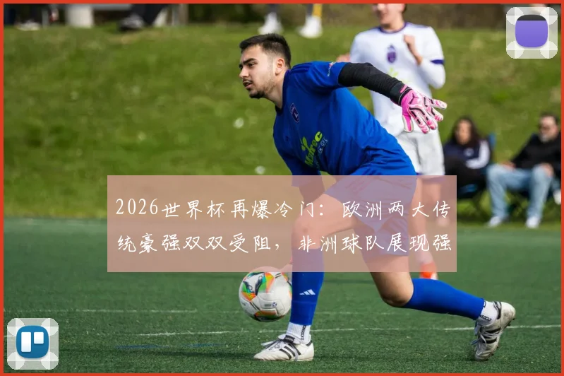 2026世界杯再爆冷门:欧洲两大传统豪强双双受阻,非洲球队展现强劲韧性逼平对手