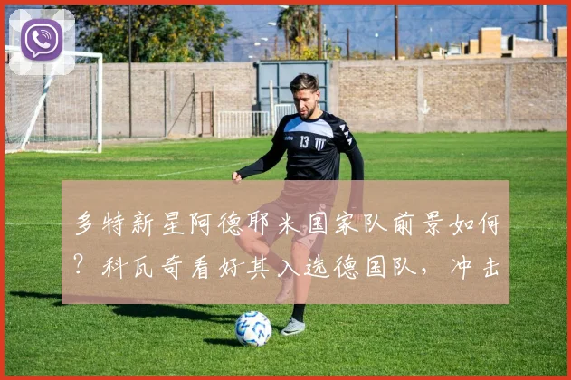 多特新星阿德耶米国家队前景如何？科瓦奇看好其入选德国队，冲击2026世界杯之路详解
