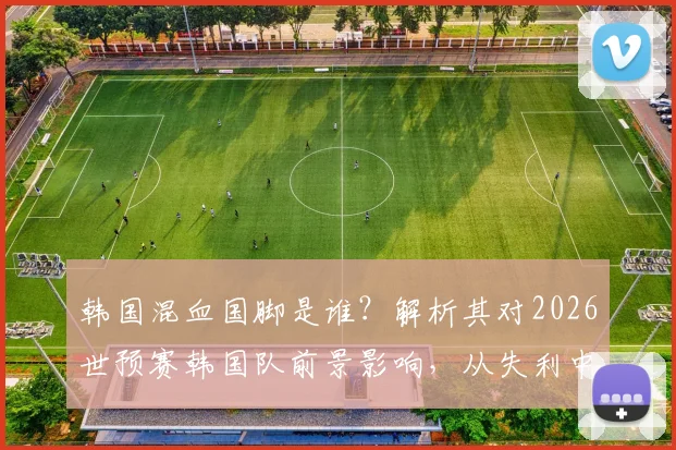 韩国混血国脚是谁？解析其对2026世预赛韩国队前景影响，从失利中吸取教训变强