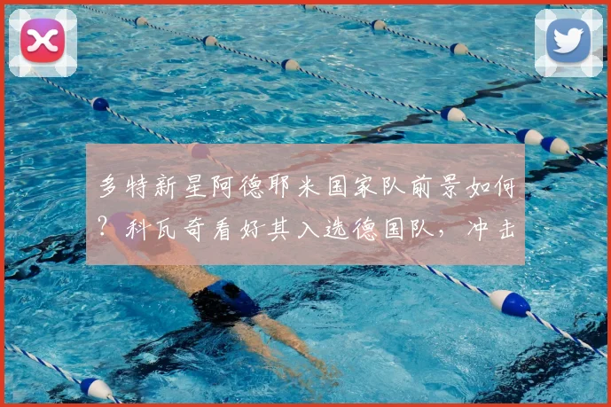 多特新星阿德耶米国家队前景如何?科瓦奇看好其入选德国队,冲击2026世界杯之路详解